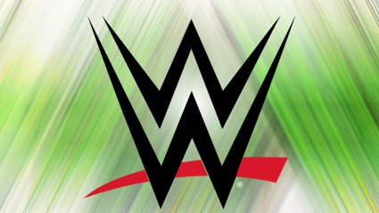 WWE 2025 Logo