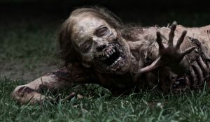 The Walking Dead Once Answered a Major Question From Episode 1, But Fans Ignored It