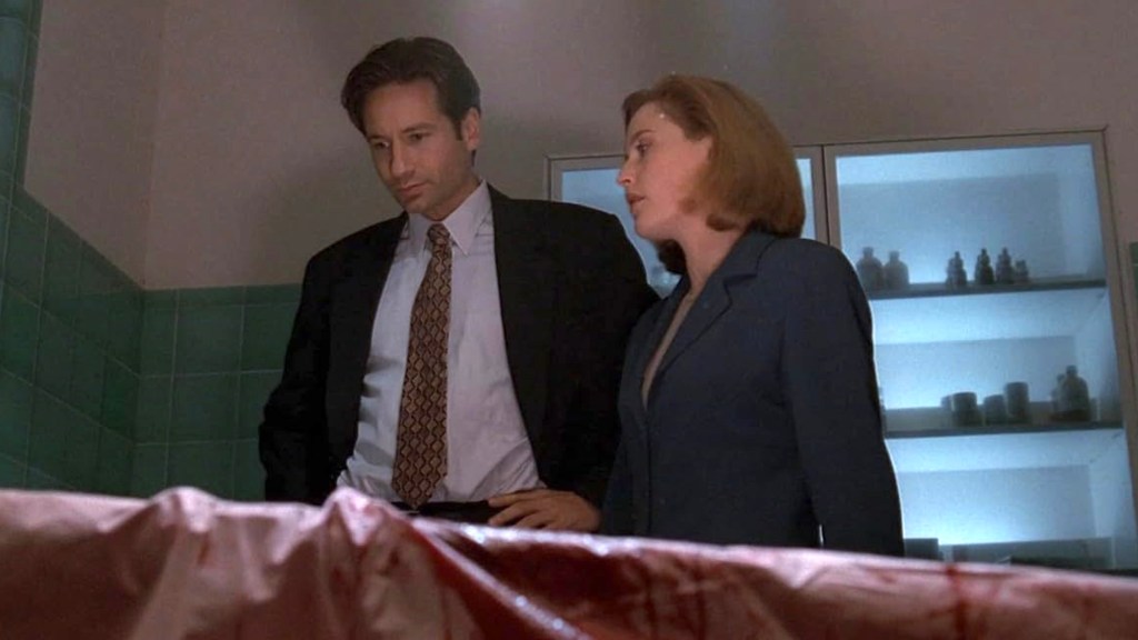 David Duchovny and Gillian Anderson in The X-Files