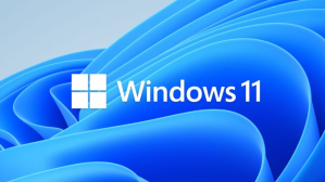 Get Microsoft Windows 11 Pro and Home For Next To Nothing
