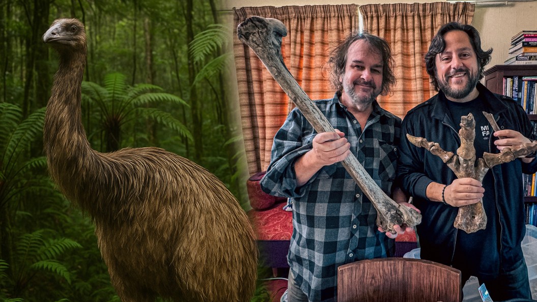 The Moa, Peter Jackson, and Ben Lamm