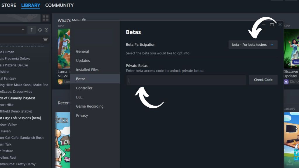 How to Join Steam Beta Branch pt. 2