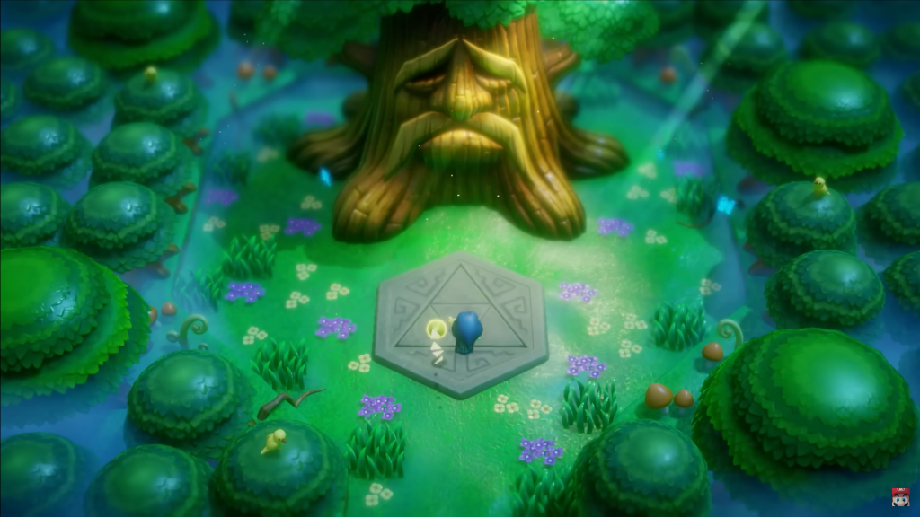Echoes of Wisdom