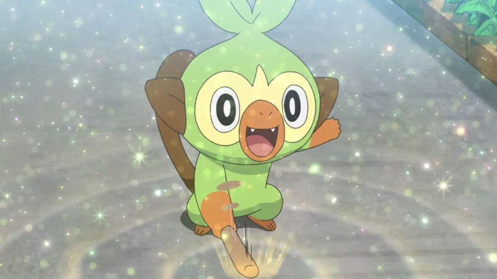 Grookey Pokemon Anime