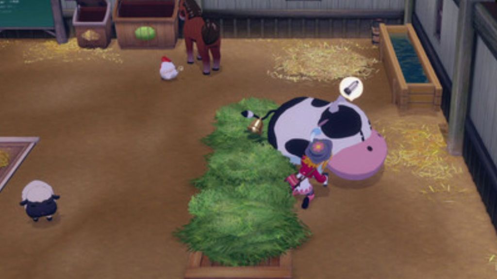 Story of Seasons Grand Bazaar