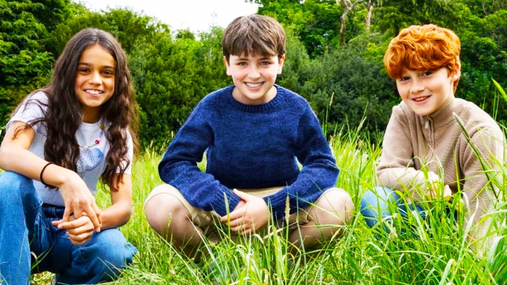 The new Harry Potter, Hermione Granger, and Ron Weasley in a field