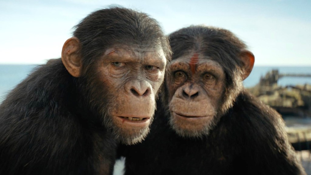 Owen Teague as Noa and Sara Wiseman as Dar in Kingdom of the Planet of the Apes
