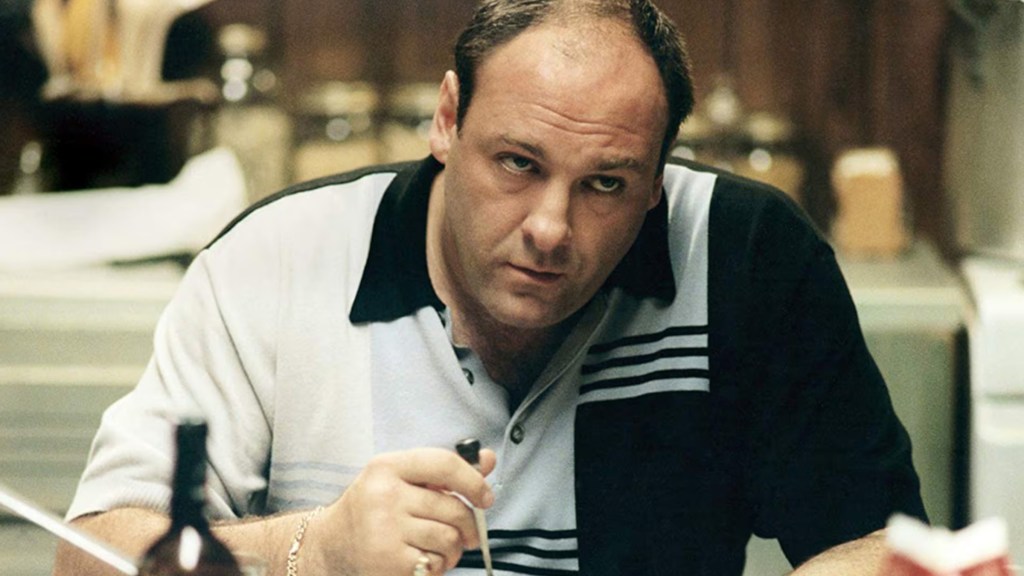 James Gandolfini as Tony Soprano in The Sopranos