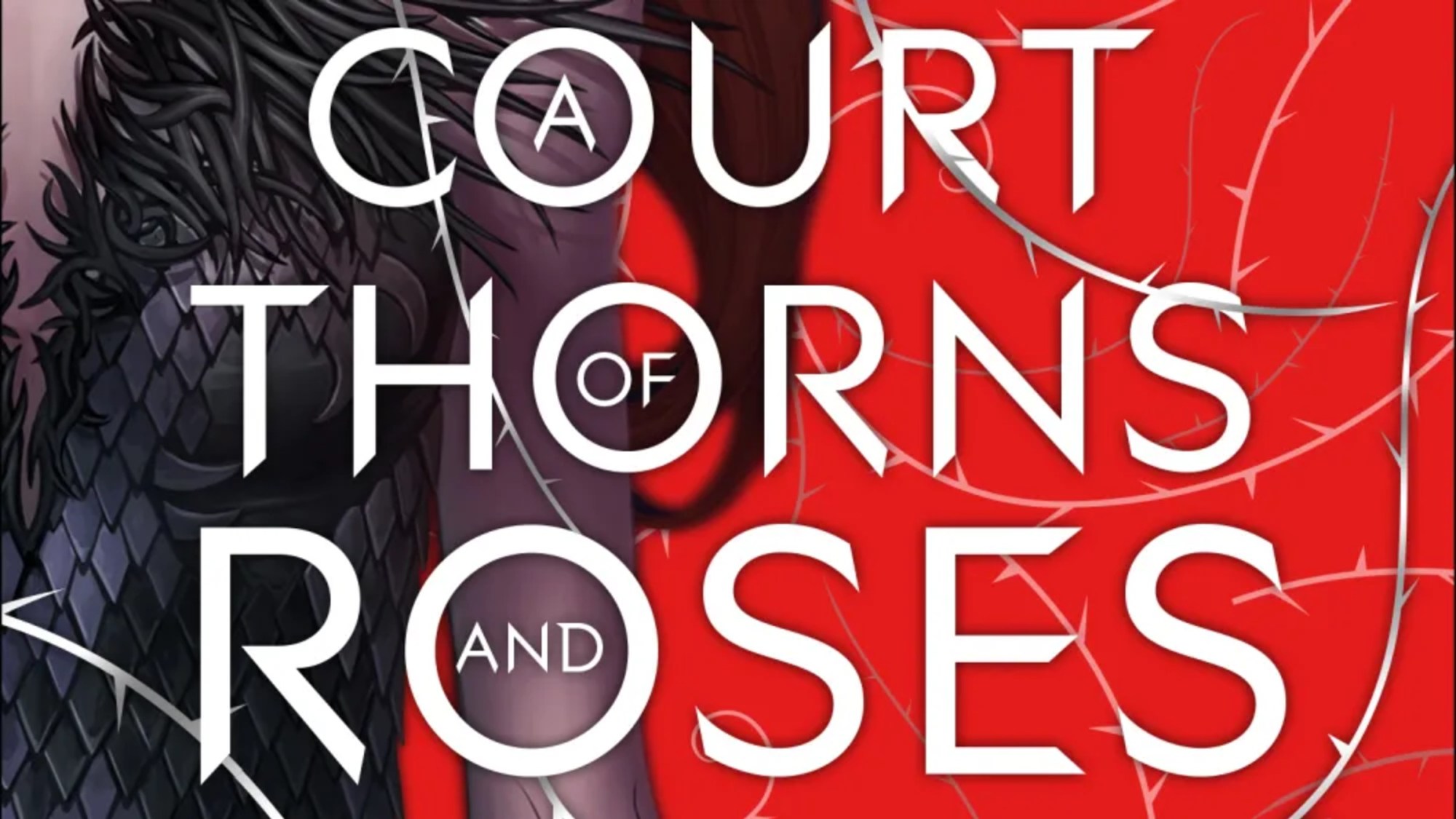 A Court of Thorns and Roses TV Show Author Sarah J. Maas Breaks Silence On Canceled TV Series, One Year Later