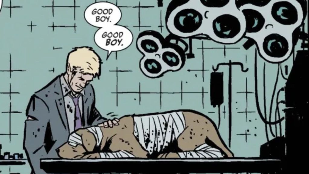 Matt Fraction Hawkeye Clint Barton and Lucky