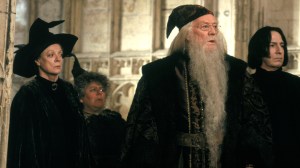 Professor McGonagall, Sprout, Dumbledore, and Snape in Harry Potter