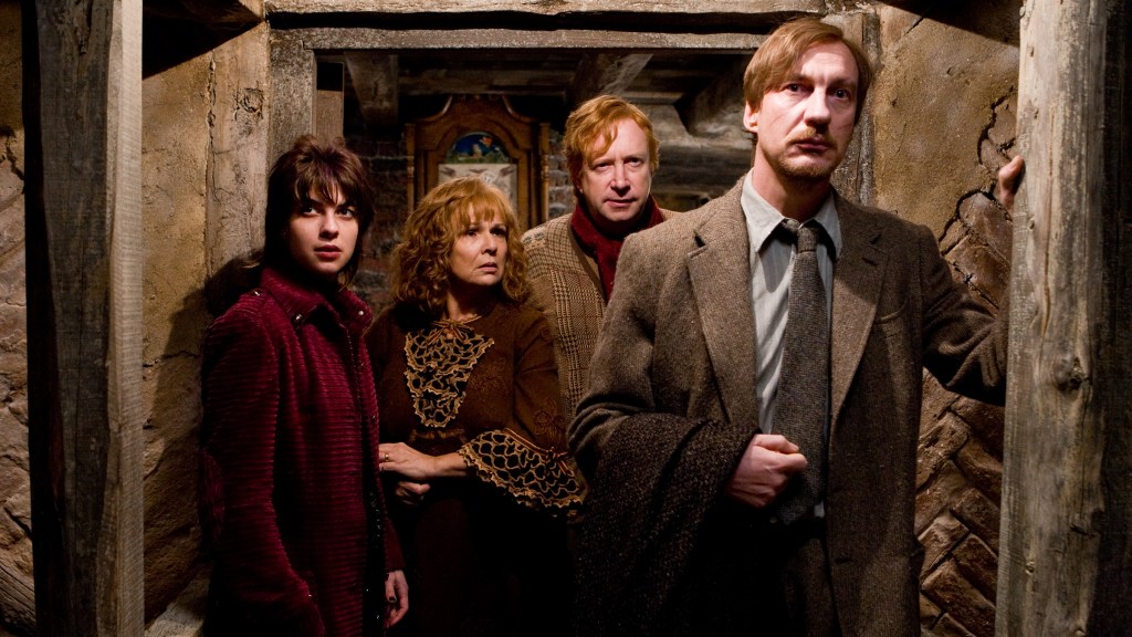 Tonks, Molly Weasley, Arthur Weasley, and Lupin in Harry Potter