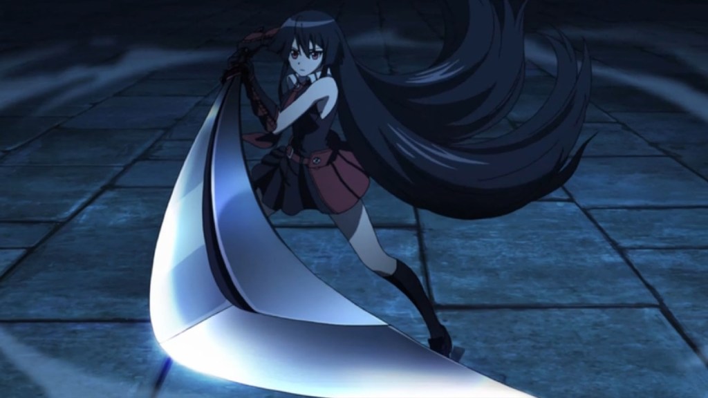 Best swordfighters in anime Akame Ga Kill!