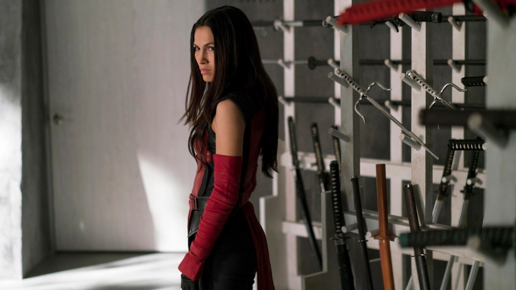 Elektra standing near weapons
