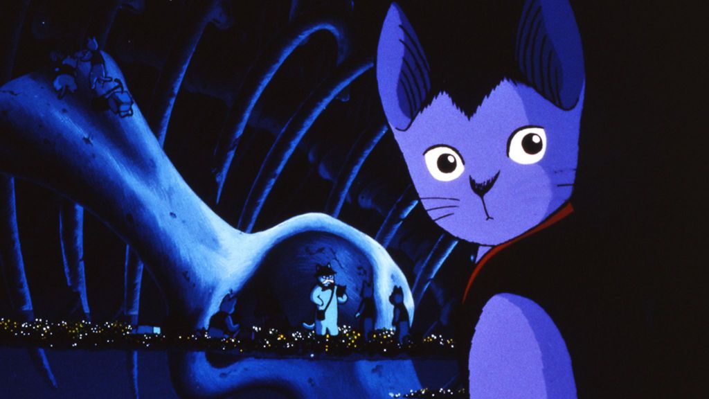 Night on the Galactic Railroad cat in space