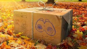 Pokemon Go Research Reward Box