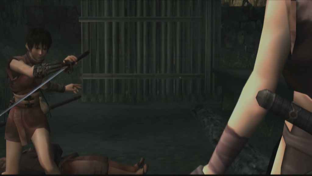 Tenchu: Fatal Shadows