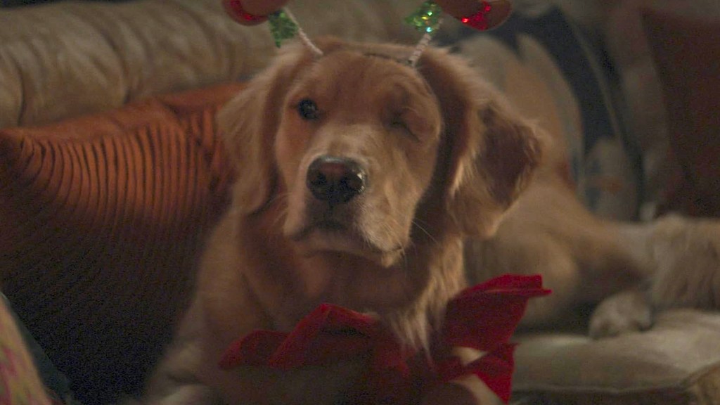 Lucky the Pizza Dog in Hawkeye