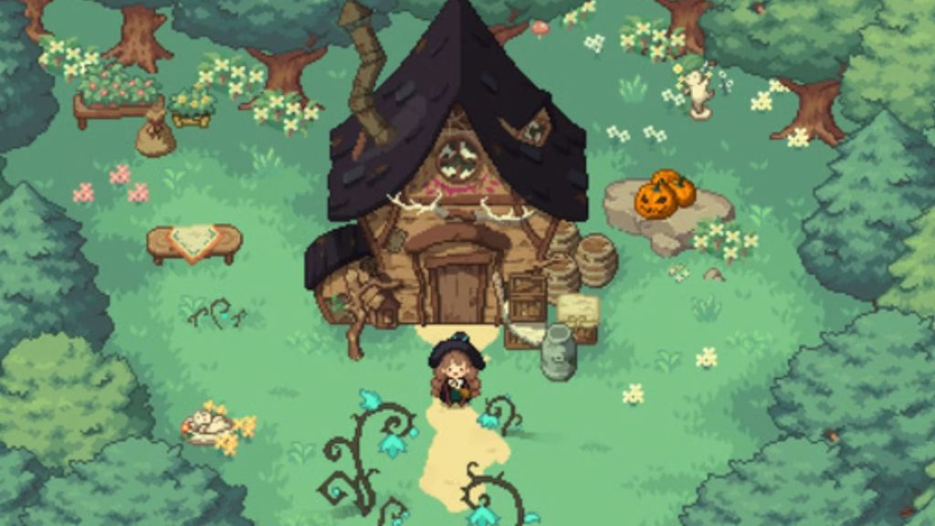 Little Witch in the Woods Resize