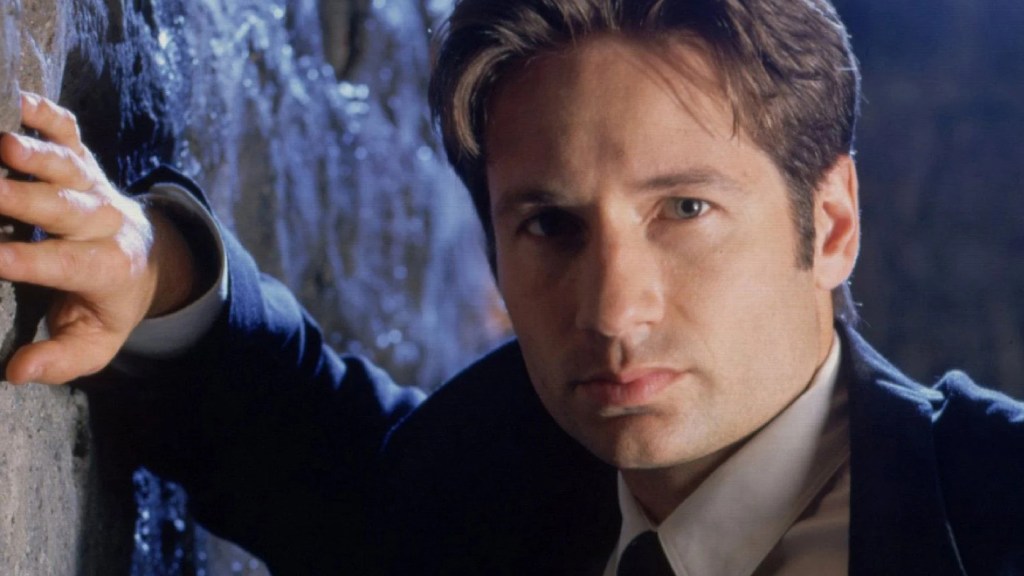 David Duchovny in The X-Files