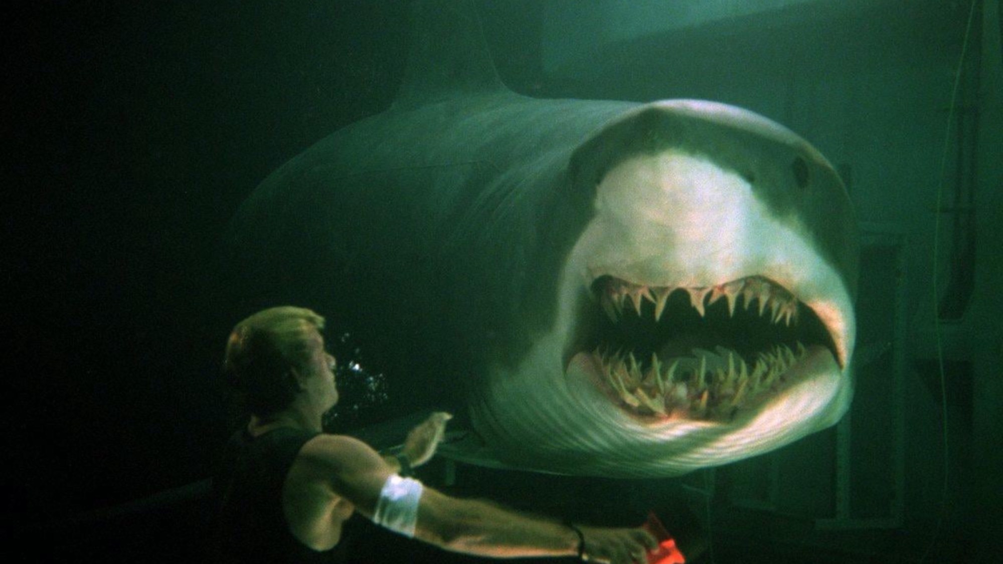 The Most Well-known Non-Jaws Shark Film Is Now Streaming Free (However Is it Nonetheless as Unhealthy as Folks Say?) The Most Well-known Non-Jaws Shark Film Is Now Streaming Free (However Is it Nonetheless as Unhealthy as Folks Say?)