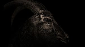 3 Movies About Witchcraft That Are More Historically Accurate Than You Think, & One Was Based On 17th-Century Court Records