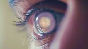 14 Years Ago Today, A Masterpiece Sci-Fi Episode Landed That Robert Downey Jr. Almost Turned Into a Movie