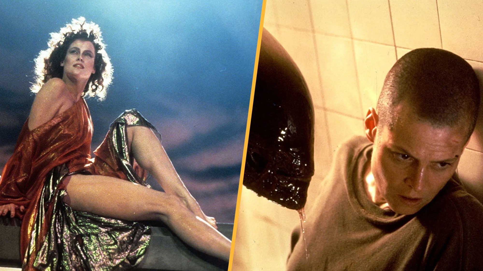 Sigourney Weaver’s 10 Best Sci-Fi Movies, Ranked Sigourney Weaver’s 10 Best Sci-Fi Movies, Ranked