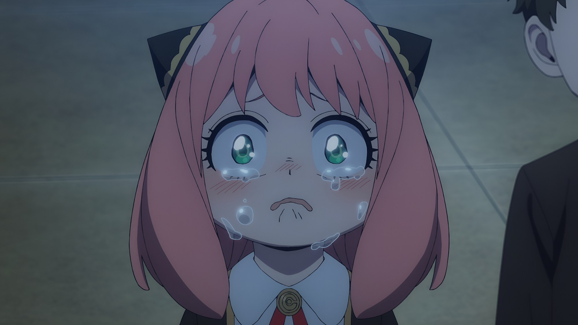 Spy x Family Creator Confirms Major Delay After Season 3