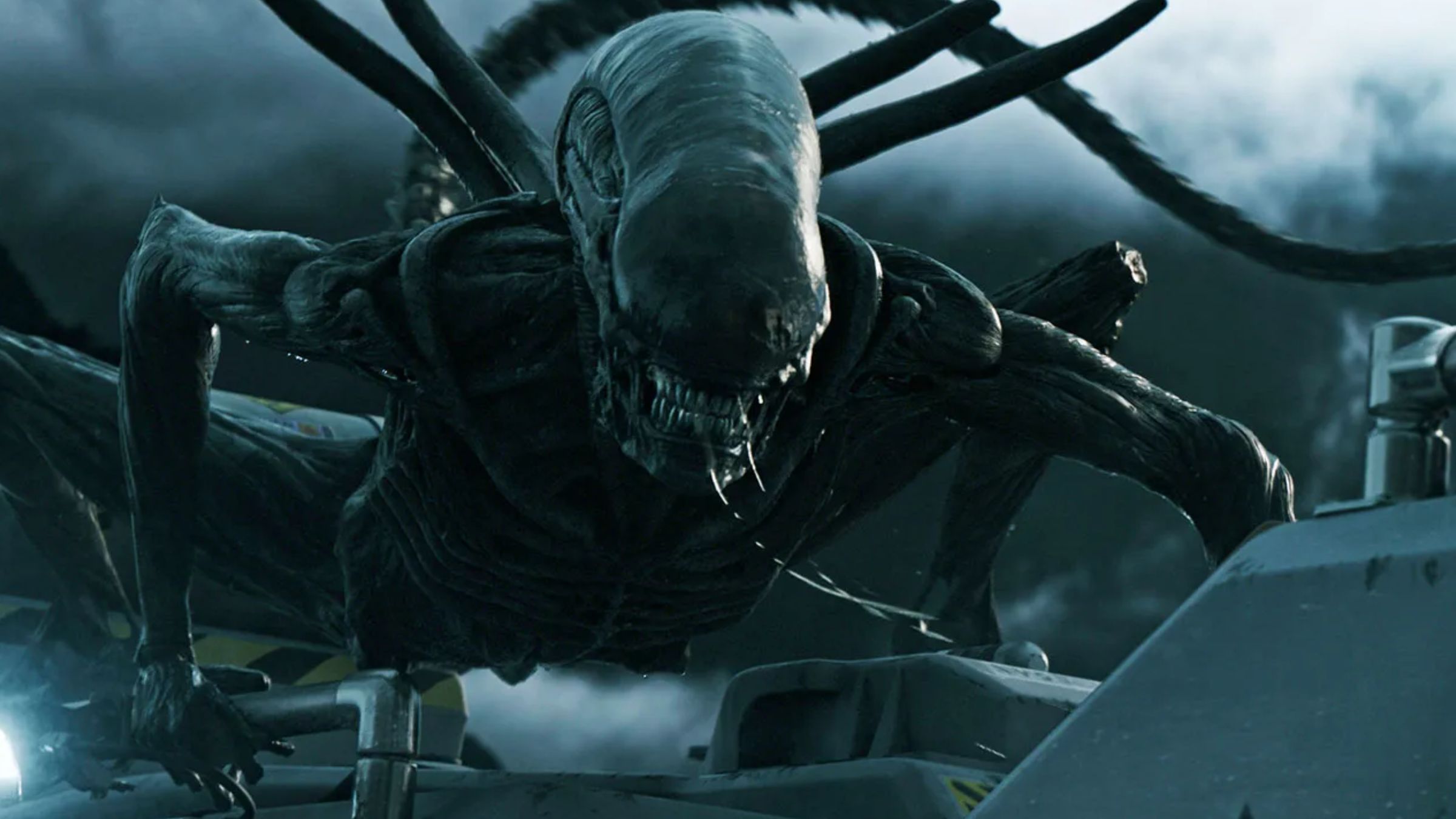 All 11 Types of Xenomorph in the Alien Movies, Ranked by Power ...