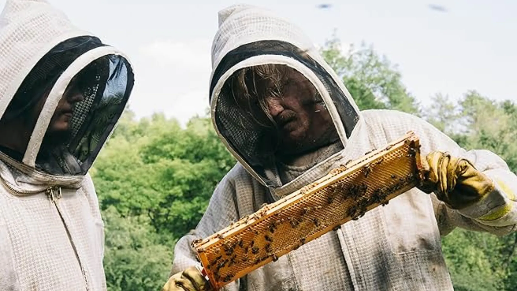 Peacock Adds One of The Best Sci-Fi Movies of 2025 (& It’s Unlike Anything You’ve Seen)