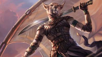 D&D Samurai Fighter character with sword