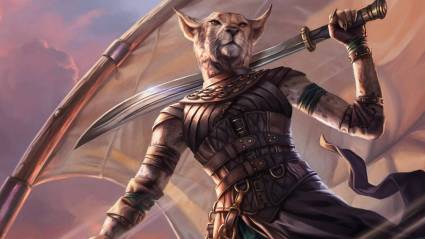 D&D Samurai Fighter character with sword