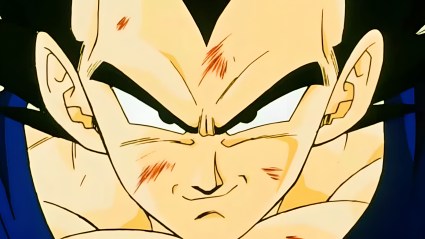 Dragon Ball Z Anime Vegeta