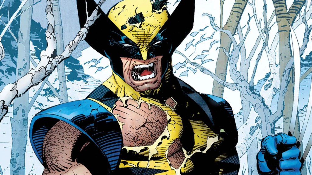 Wolverine in the wilderness