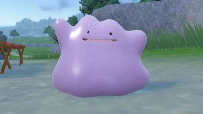 Ditto Closeup Pokemon Scarlet Violet Resize