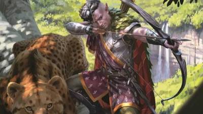 Dungeons and Dragons Ranger character with pet