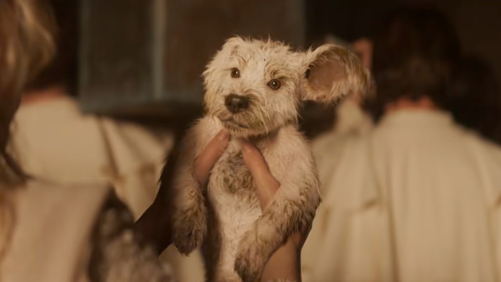 Krypto in Supergirl