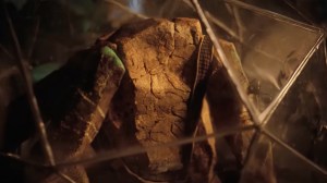 Despite the Complaints, Project Hail Mary Giving Away Its Biggest Spoiler Was the Right Choice