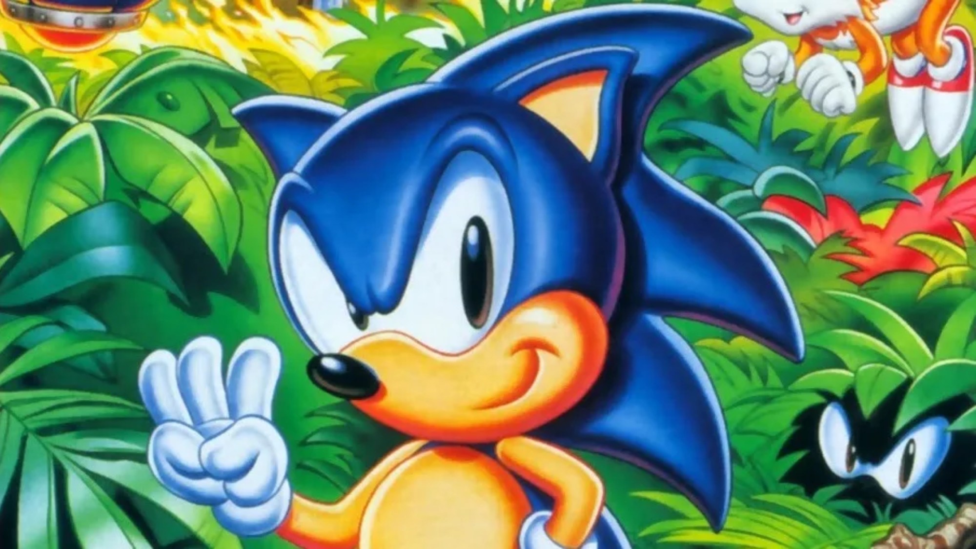 32 Years Ago Today, Sega Introduced the Best Sonic Side-Character