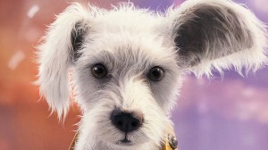 New Supergirl Footage Features Baby Krypto (And It’s Everything We Wanted) – Watch The Trailer