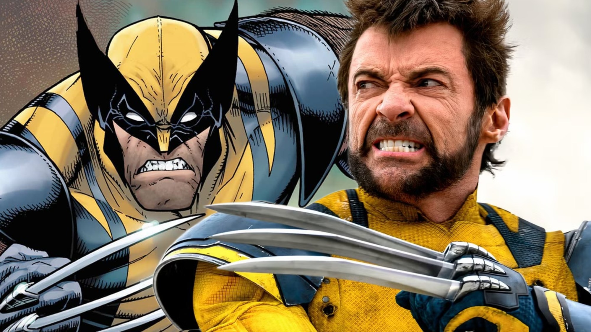 Every Major Wolverine Power The MCU Forgot About