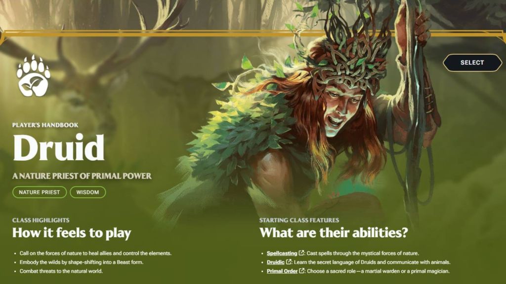 Druid Example Character Builder DnD Beyond