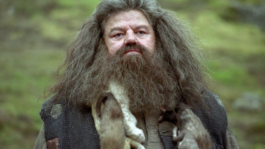 Hagrid in Harry Potter