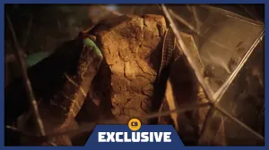 Project Hail Mary Directors Reveal How Much of the Movie Is Practical Effects (More Than You Think)