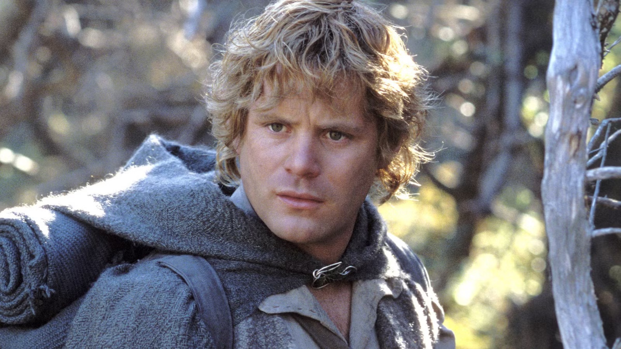 Samwise Images LOTR: What Happened to Every Member of the Fellowship After Return of ...