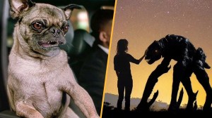 5 Sci-Fi Movie Aliens To Know if You Love Project Hail Mary’s Rocky