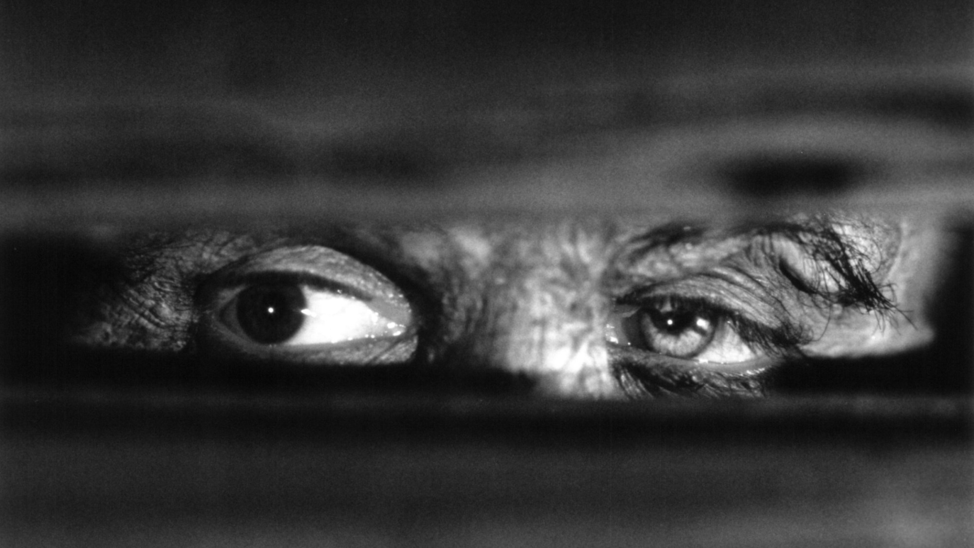 The Best Frankenstein Adaptation Ever Just Joined HBO Max (And It’s Not Guillermo Del Toro’s 2025 Movie)