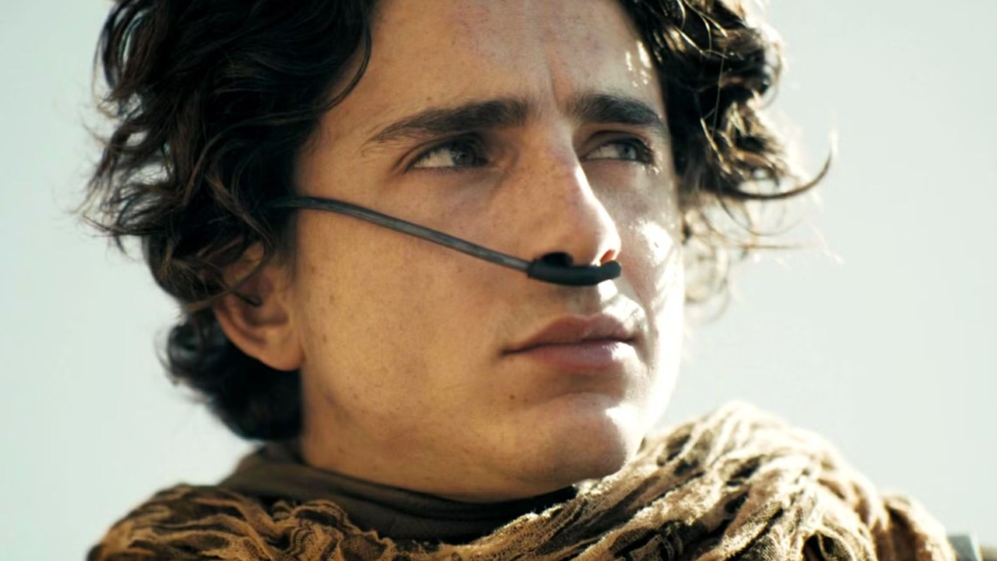 Before Dune, Timothée Chalamet Showed Up In A Masterpiece Sci-Fi Movie With An Oscar-Winning True Detective Star
