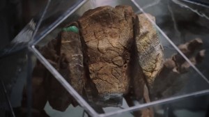 Project Hail Mary Tops Oppenheimer & Dune 2 In Latest Box Office Milestone